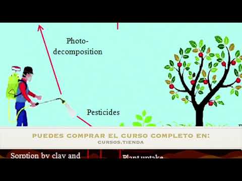 Fitosanitarios Tema 9 - Riesgos ambientales