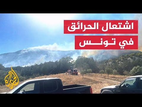 الدفاع المدني يحاول السيطرة على حرائق نشبت في جبل بوقرنين شمال تونس