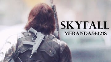 Skyfall || Multifandom