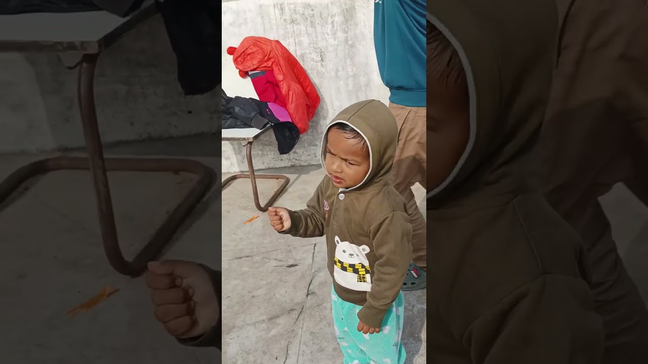 पतंग कैसे उड़ाते हैं  🪁🪁