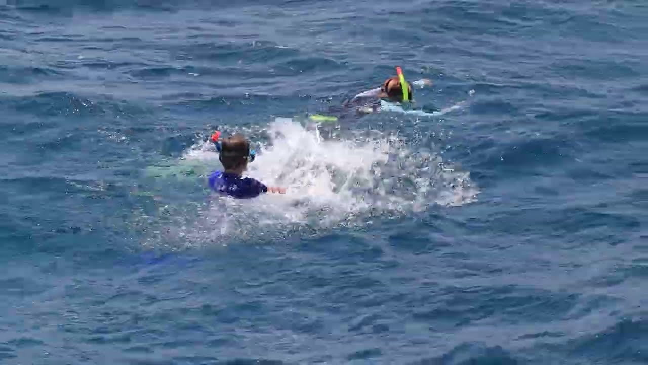 Egypt. Snorkeling with fish in the Red sea at Sharm-El-Sheikh.А теперь за рыбами!Рифы Красного моря