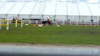 Equitana Asia Pacific 2008 - Obstacle Driving Pairs