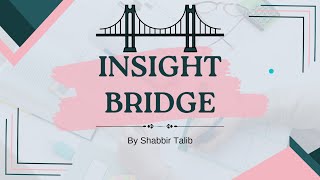 Perplexity Hackathon Project - InsightBridge