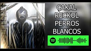 Çakal & Reckol - Perros Blancos (Speed Up) Resimi