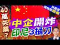 中企開炸! 印尼3捅刀"砍產量.玩價格.改邏輯"｜中國商會向印尼總統投訴營商環境不佳 「印尼做得過分了」｜中企開炸 印尼3捅刀｜介文汲.謝寒冰.張延廷深度剖析【林嘉源辣晚報】精華版