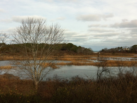 camera iphone 8 plus apk Cape Cod Museum of Natural History Live Stream