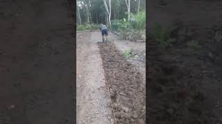 Buat Bedengan Cabe Manual Saja Bos