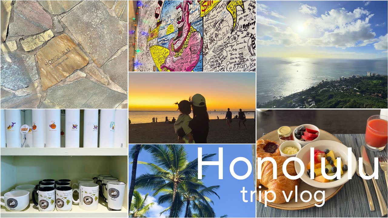 世界の旅1 ハワイ / オーストラリア Hawaii / Australia OAHU Bus Trip - YouTube