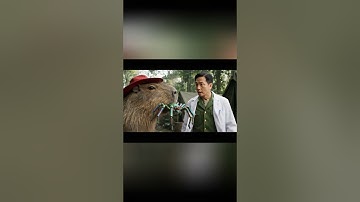 Capybara giúp chú bộ đội bị Nhện Khổng Lồ cắn #capybara #capybarabodoi #hoathinhvietnam