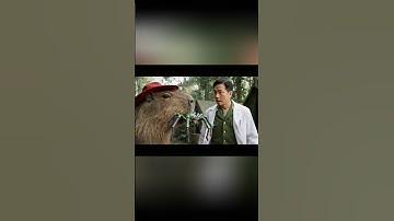 Capybara giúp chú bộ đội bị Nhện Khổng Lồ cắn #capybara #capybarabodoi #hoathinhvietnam