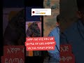 Fikru Muluye የባንዳነት ውርደት Habesha Military አማራ Duet Army Breakingnews 