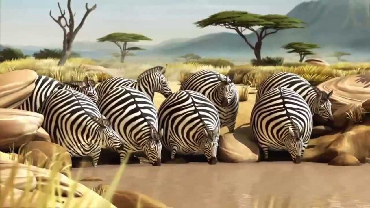 Natural habitat in Africa is very funny animation (funny 