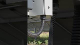 Heutige Nachricht: Suntech Fokus