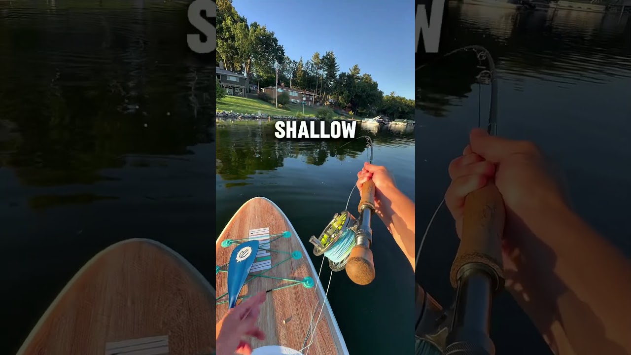 Could you catch a fish on the fly if you only had 20 minutes? 