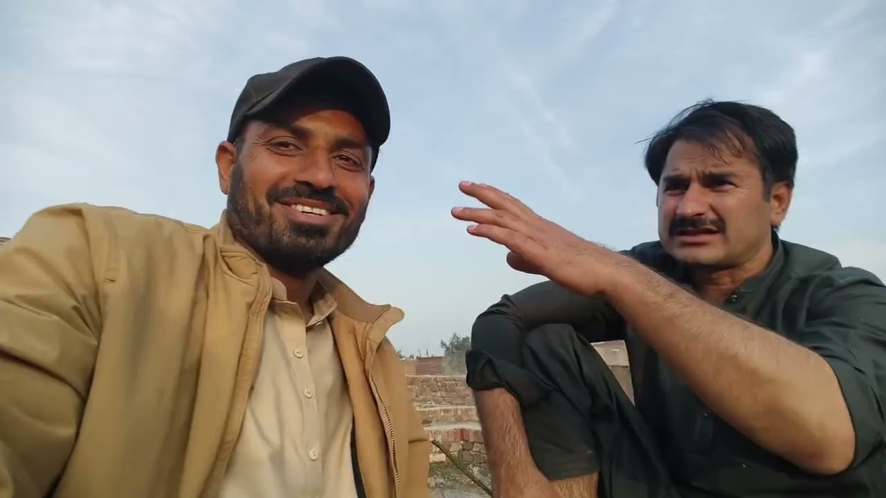 Political conversations with friends