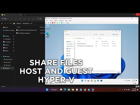 Share Files Between