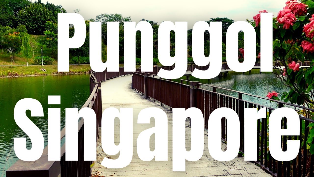 Exploring Singapore: Walking along Punggol Waterway Park!