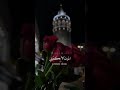 حالات واتس تركية وردتي 