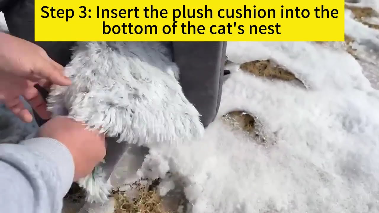 Outdoor Cat House with Plush Cushion 