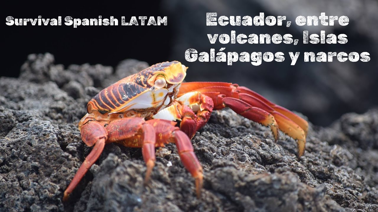 Ecuador, entre volcanes, Islas Galápagos y narcos