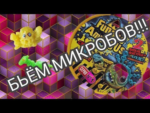 БЬЁМ МИКРОБОВ!!!!/ФУНГУС АМУНГУС