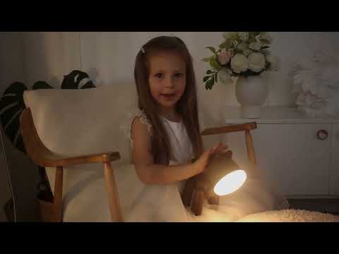 Світильник Песик — дитячий нічник на акумуляторі, два режими яскравості, регулювання кута освітлення • LED • USB • Коричневий, видео 2