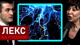 видео: Следующий большой прорыв в физике | Джанна Левин и Лекс Фридман картинка: Следующий большой прорыв в физике | Джанна Левин и Лекс Фридман