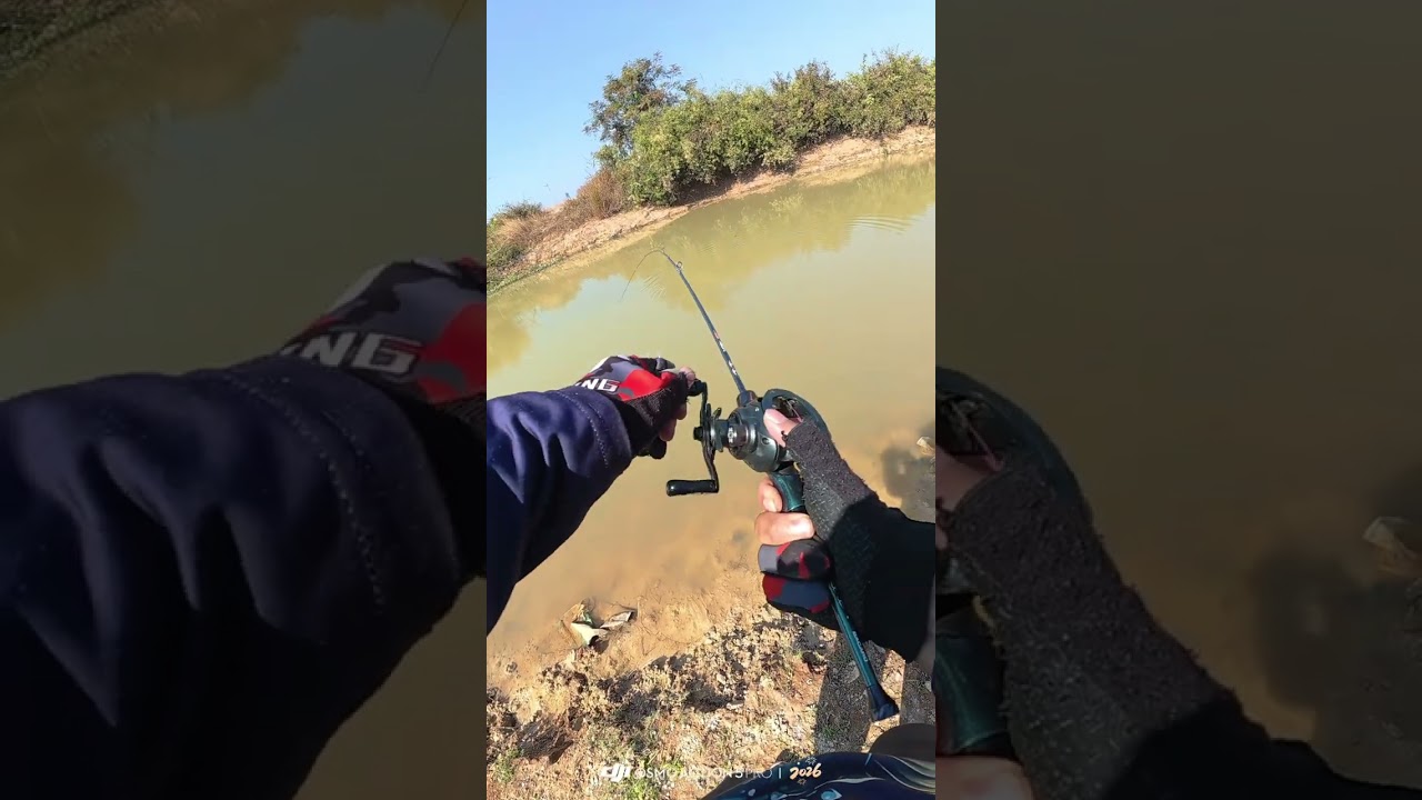 ຊ້ຳໝາຍເກົ່າ(ซ้ำหมายเดิม)