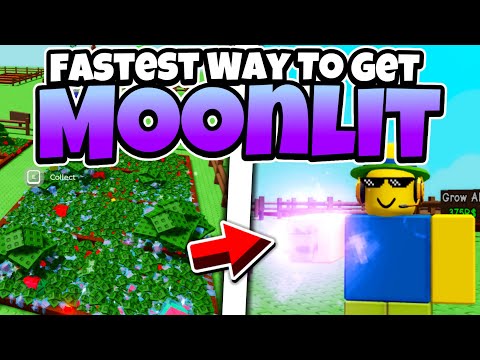 Fastest Way To