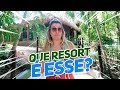 O PARAÍSO! - Vlog Cancún e Tulum 1