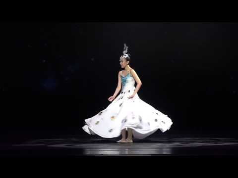 2018石家萍舞蹈学校第十届舞展 “舞之灵” -《雀之灵》Spirit of Peacock