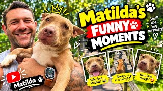 Watch how we helped Matilda to be the fastest dog 😀🥰🐶😅 Matilda's funny moments