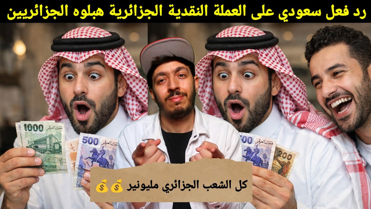 جزائريين هبلو سعودي مافهم والو، لماذا الشعب الجزائري يتقن اللغة الفرنسية، اذكى شعب في العالم🔥🚨💰