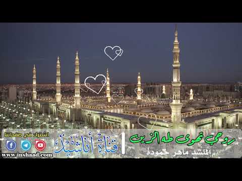 روحي تهوى طه الزين المنشد ماهر حمودة 