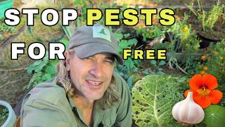 Stop Winter Pests for FREE The Shire's Secret Alliance
