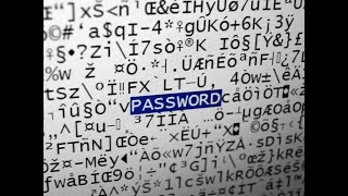 İnstagram Kabakuvvet Saldırısı