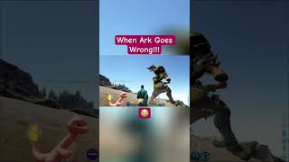 When Ark Goes Wrong