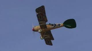 World War 1 Fighter - Albatros D.Va  [1917]