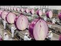 Inside the Largest USA Factory: From Raw Onions to Premium Powder (Full Process)