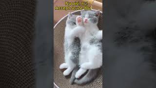 Nu pisi, nu!😜 Mesaje amuzante 😍 Mesaje haioase 😍