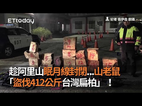 趁阿里山眠月線封閉...山老鼠「盜伐412公斤台灣扁柏」！