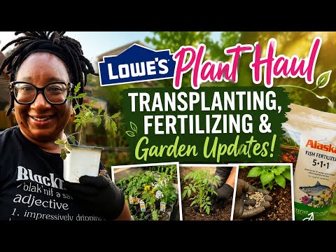 🌿 Lowe's Plant Haul | Transplanting, Fertilizing & Garden Updates