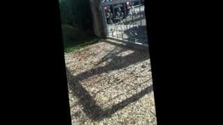 Wasserballonschlacht Reloaded screenshot 5