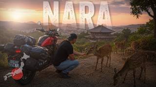Finding Quiet In Japans Tourist Capital  Nara  Project 47 Ep 21