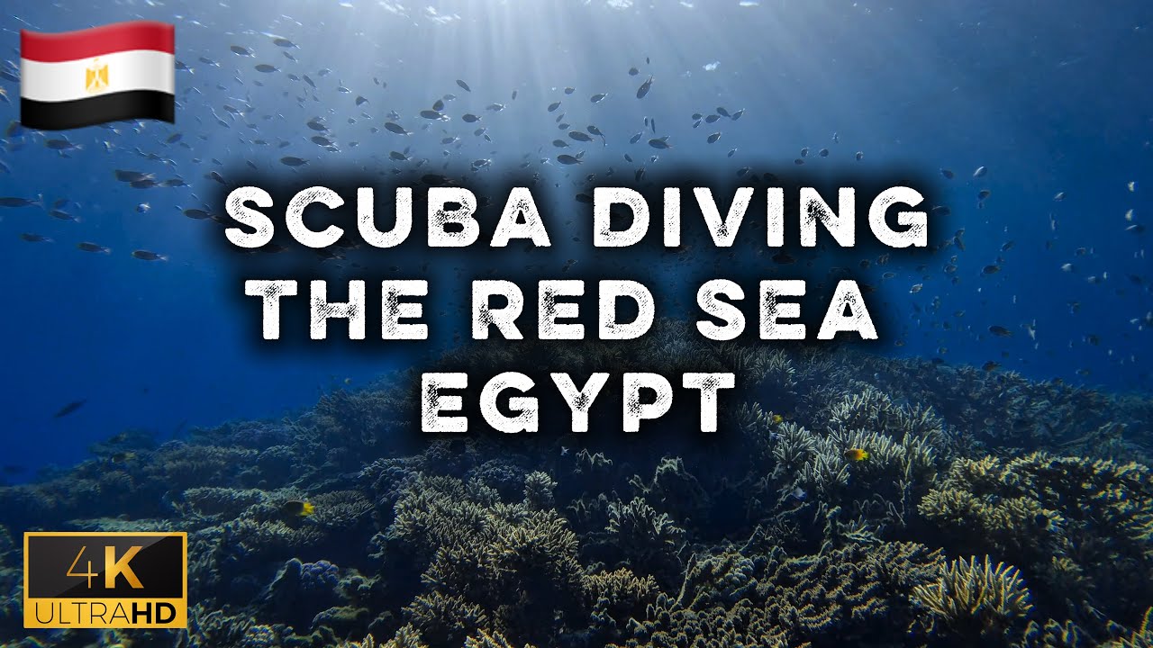 Scuba Diving In To The BREATHTAKING Red Sea Of Egypt | 4K