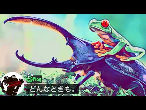 どんなときも。（サビから）【テンホールズハーモニカ  】10 holes harmonica