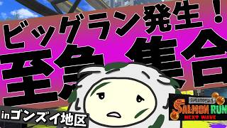 【#スプラトゥーン3／#サーモンランNW 】あれからもう二年…ゴンズイ地区の今。【VTuber ぬくまろ(GT) ゲーム実況】