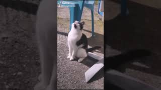 Celebrity Don't be suspicious Profile