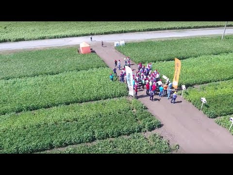 Agro picnic 2017