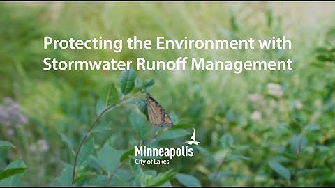 Protecting the Environment with Stormwater Runoff Management